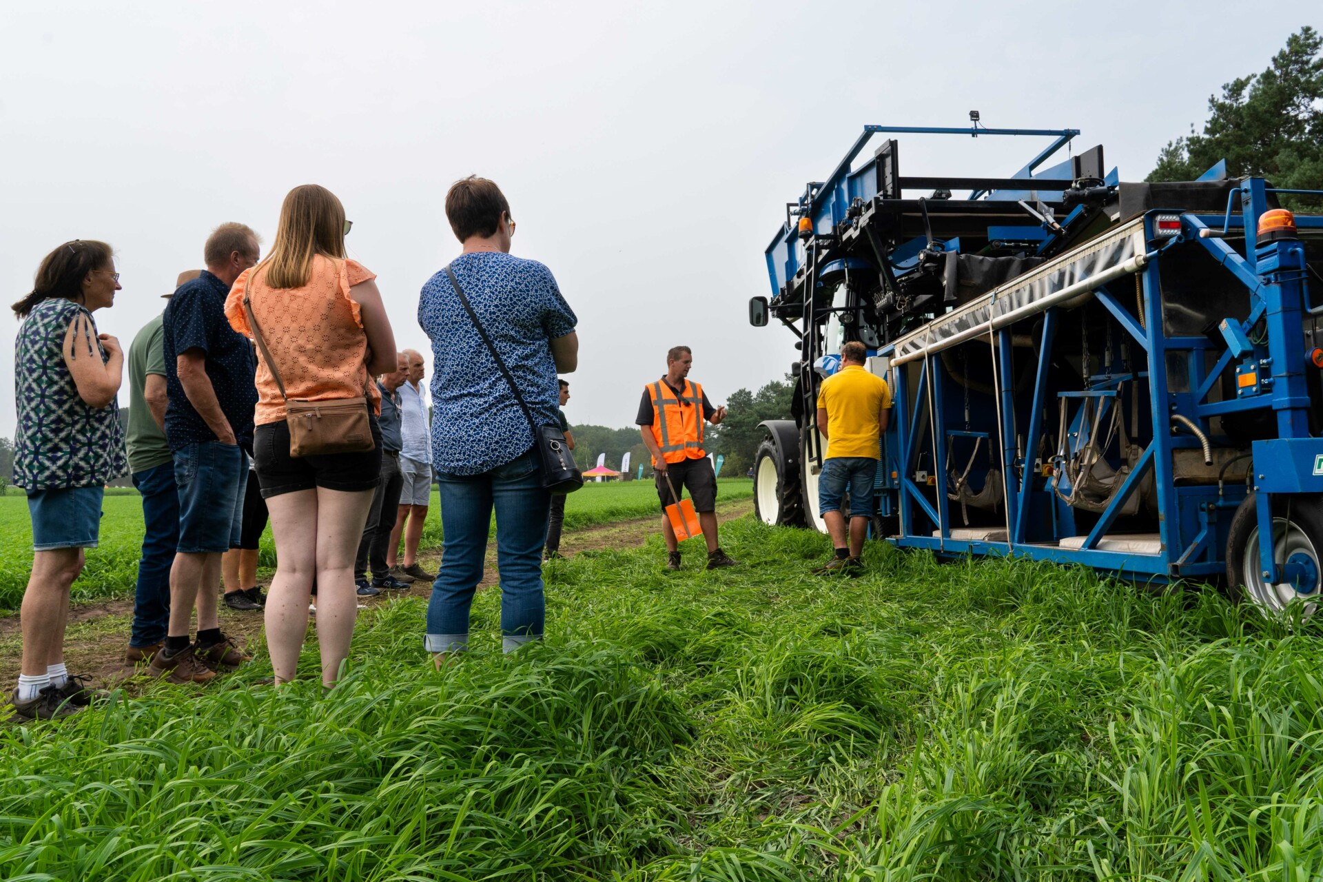 Sierteler gaat uit van de kracht van de plant | TV | Vroege Vogels