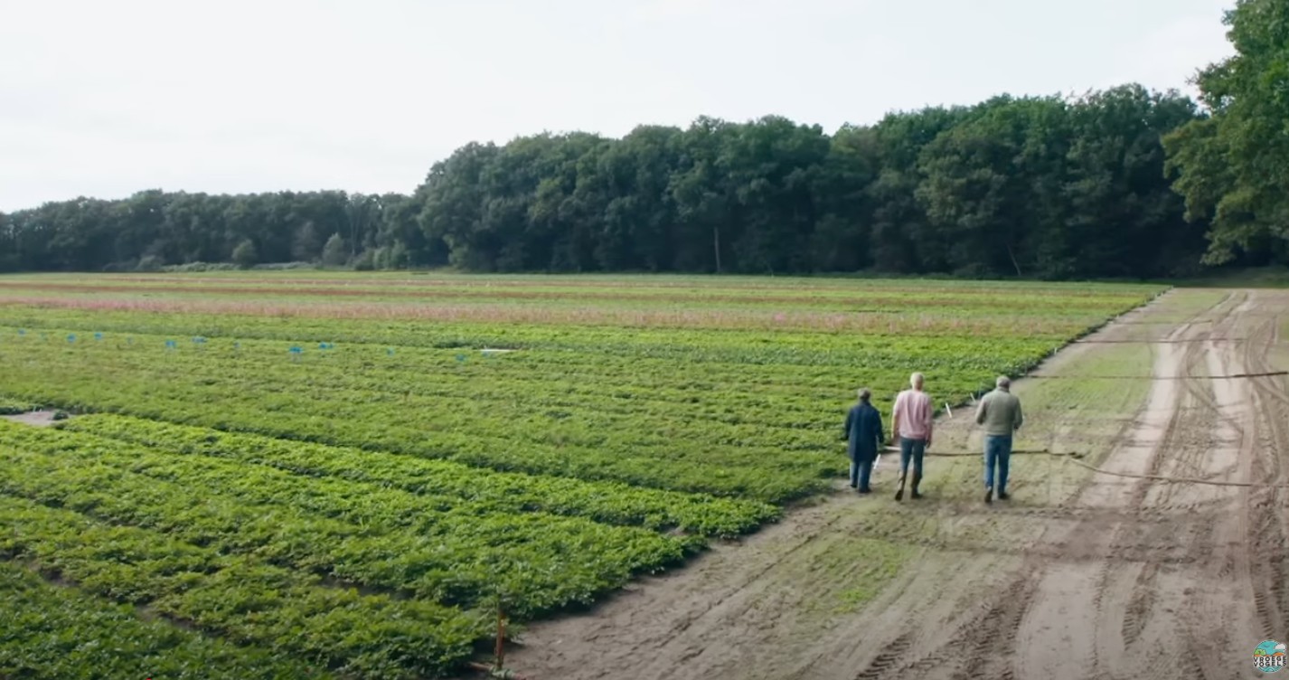 Sierteler gaat uit van de kracht van de plant | TV | Vroege Vogels