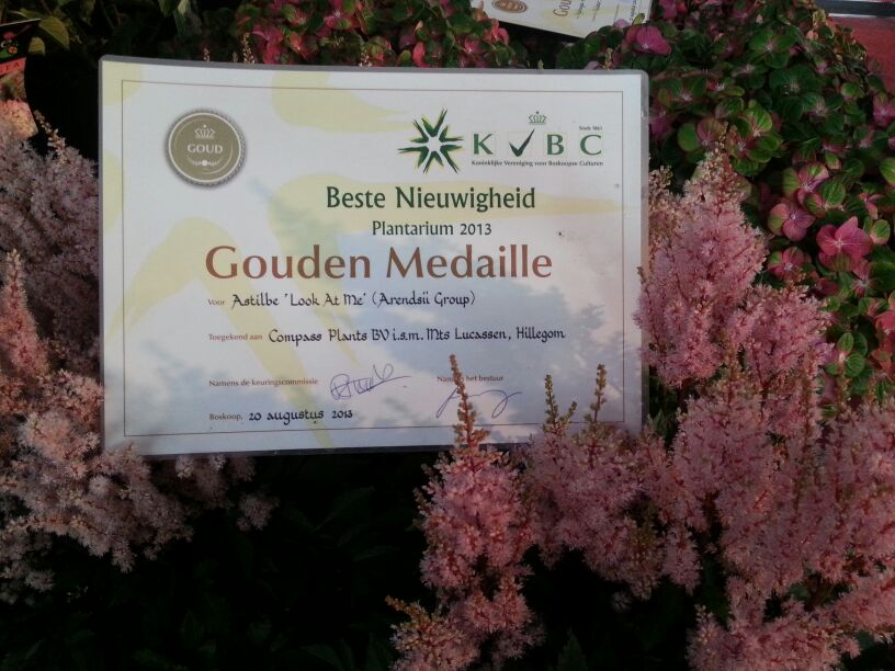Gouden Medaille - Award KVBC